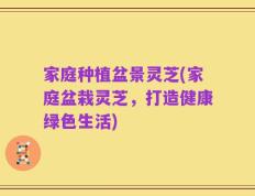 家庭种植盆景灵芝(家庭盆栽灵芝，打造健康绿色生活)