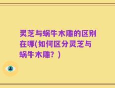 灵芝与蜗牛木雕的区别在哪(如何区分灵芝与蜗牛木雕？)