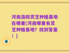 河南洛阳灵芝种植基地在哪里(河南哪里有灵芝种植基地？找到答案！)