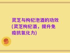 灵芝与枸杞泡酒的功效(灵芝枸杞酒，提升免疫抗氧化力)