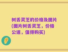 树舌灵芝的价格及图片(图片树舌灵芝，价格公道，值得购买)