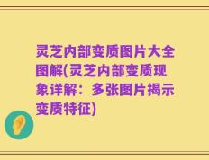 灵芝内部变质图片大全图解(灵芝内部变质现象详解：多张图片揭示变质特征)