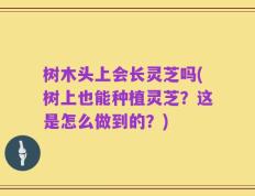 树木头上会长灵芝吗(树上也能种植灵芝？这是怎么做到的？)
