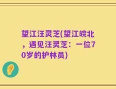 望江汪灵芝(望江皖北，遇见汪灵芝：一位70岁的护林员)