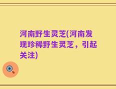 河南野生灵芝(河南发现珍稀野生灵芝，引起关注)