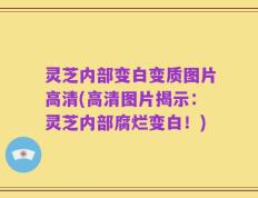 灵芝内部变白变质图片高清(高清图片揭示：灵芝内部腐烂变白！)