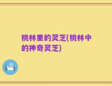 桃林里的灵芝(桃林中的神奇灵芝)