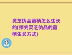 灵芝伪品菌柄怎么生长的(探究灵芝伪品的菌柄生长方式)