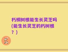 朽桐树根能生长灵芝吗(能生长灵芝的朽树根？)
