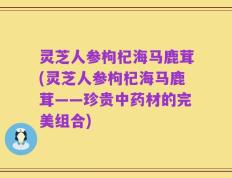 灵芝人参枸杞海马鹿茸(灵芝人参枸杞海马鹿茸——珍贵中药材的完美组合)