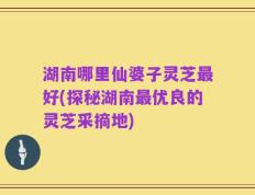 湖南哪里仙婆子灵芝最好(探秘湖南最优良的灵芝采摘地)