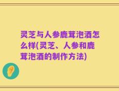 灵芝与人参鹿茸泡酒怎么样(灵芝、人参和鹿茸泡酒的制作方法)