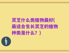 灵芝什么类植物最好(最适合生长灵芝的植物种类是什么？)