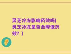 灵芝冷冻影响药效吗(灵芝冷冻是否会降低药效？)