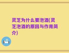灵芝为什么要泡酒(灵芝泡酒的原因与作用简介)