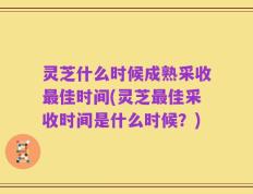 灵芝什么时候成熟采收最佳时间(灵芝最佳采收时间是什么时候？)