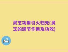 灵芝功用引火归元(灵芝的调节作用及功效)