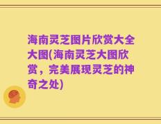 海南灵芝图片欣赏大全大图(海南灵芝大图欣赏，完美展现灵芝的神奇之处)
