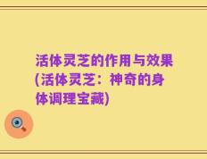 活体灵芝的作用与效果(活体灵芝：神奇的身体调理宝藏)