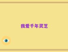 我爱千年灵芝
