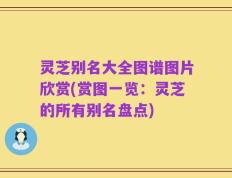 灵芝别名大全图谱图片欣赏(赏图一览：灵芝的所有别名盘点)