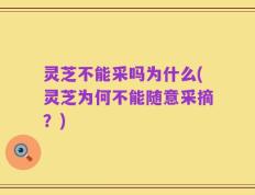灵芝不能采吗为什么(灵芝为何不能随意采摘？)
