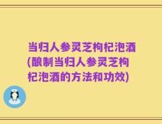 当归人参灵芝枸杞泡酒(酿制当归人参灵芝枸杞泡酒的方法和功效)