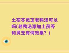 土茯苓灵芝老鸭汤可以吗(老鸭汤添加土茯苓和灵芝有何效果？)