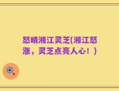 怒晴湘江灵芝(湘江怒涨，灵芝点亮人心！)