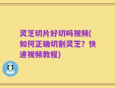 灵芝切片好切吗视频(如何正确切割灵芝？快速视频教程)
