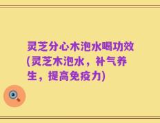 灵芝分心木泡水喝功效(灵芝木泡水，补气养生，提高免疫力)