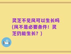 灵芝不见风可以生长吗(风不是必要条件！灵芝仍能生长？)