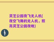 灵芝公园夜飞无人机(夜空飞舞的无人机，照亮灵芝公园夜晚)