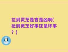 捡到灵芝是吉是凶啊(捡到灵芝好事还是坏事？)