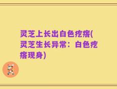 灵芝上长出白色疙瘩(灵芝生长异常：白色疙瘩现身)