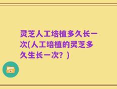 灵芝人工培植多久长一次(人工培植的灵芝多久生长一次？)