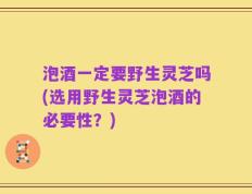 泡酒一定要野生灵芝吗(选用野生灵芝泡酒的必要性？)