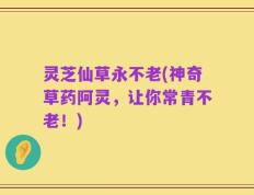 灵芝仙草永不老(神奇草药阿灵，让你常青不老！)