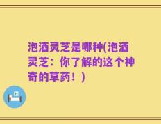 泡酒灵芝是哪种(泡酒灵芝：你了解的这个神奇的草药！)
