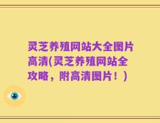 灵芝养殖网站大全图片高清(灵芝养殖网站全攻略，附高清图片！)