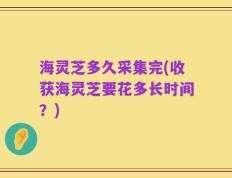 海灵芝多久采集完(收获海灵芝要花多长时间？)