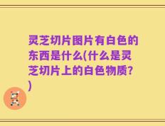 灵芝切片图片有白色的东西是什么(什么是灵芝切片上的白色物质？)