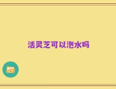 活灵芝可以泡水吗