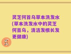 灵芝何首乌草本洗发水(草本洗发水中的灵芝何首乌，清洁发根长发更健康)