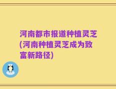 河南都市报道种植灵芝(河南种植灵芝成为致富新路径)