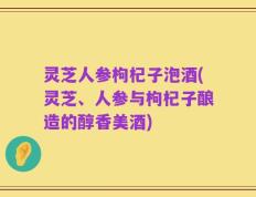 灵芝人参枸杞子泡酒(灵芝、人参与枸杞子酿造的醇香美酒)