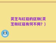 灵芝与红菇的区别(灵芝和红菇有何不同？)