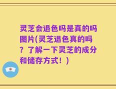 灵芝会退色吗是真的吗图片(灵芝退色真的吗？了解一下灵芝的成分和储存方式！)