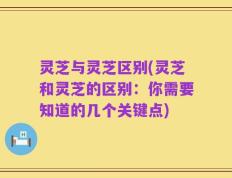 灵芝与灵芝区别(灵芝和灵芝的区别：你需要知道的几个关键点)