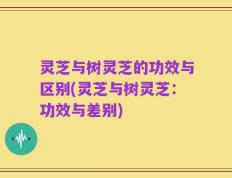 灵芝与树灵芝的功效与区别(灵芝与树灵芝：功效与差别)